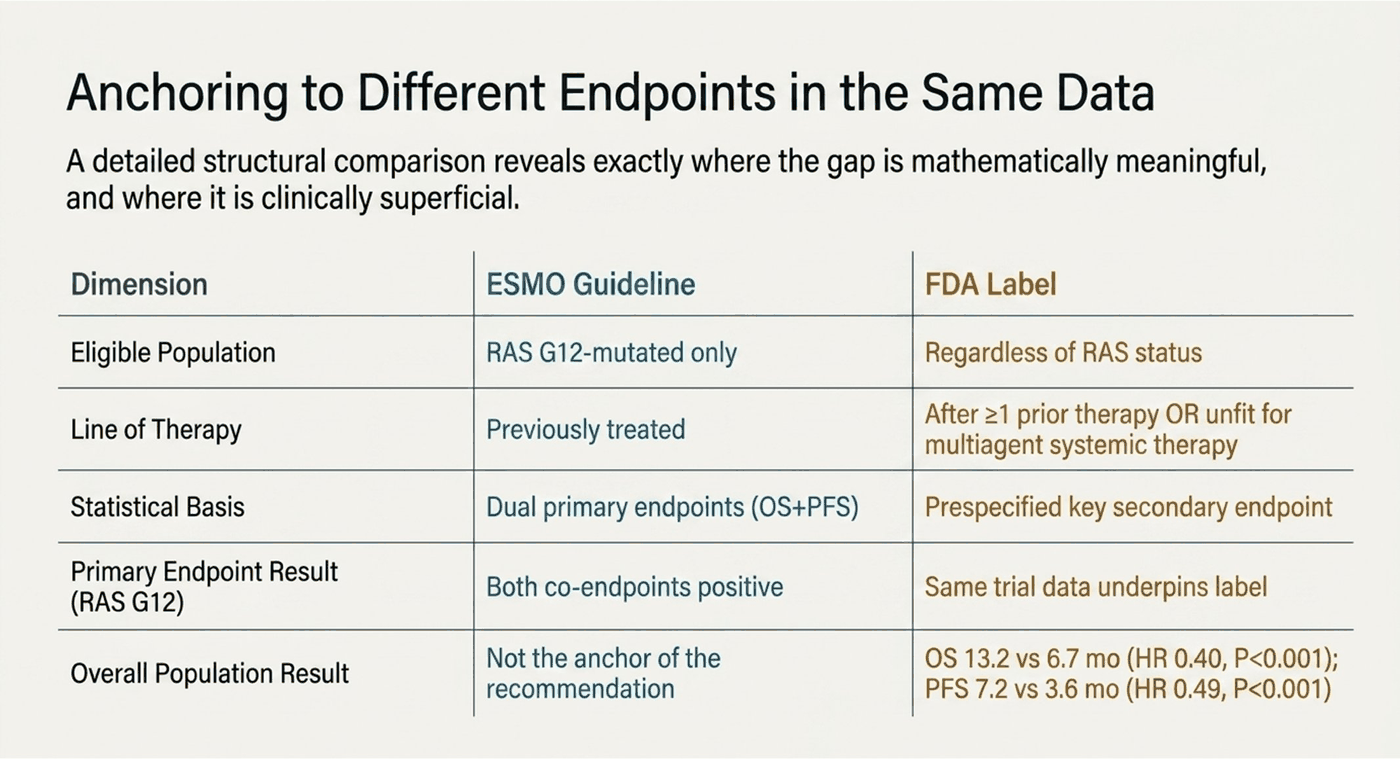 Comparison table, Anchoring to Different Endpoints in the Same Data, contrasting the ESMO guideline with the FDA label for daraxonrasib across five dimensions. Eligible population: ESMO, RAS G12-mutated only; FDA, regardless of RAS status. Line of therapy: ESMO, previously treated; FDA, after at least one prior therapy or unfit for multiagent systemic therapy. Statistical basis: ESMO, dual primary endpoints of overall survival and progression-free survival; FDA, prespecified key secondary endpoint. Primary endpoint result in RAS G12: ESMO, both co-endpoints positive; FDA, the same trial data underpins the label. Overall population result: ESMO, not the anchor of the recommendation; FDA, overall survival 13.2 versus 6.7 months, hazard ratio 0.40, P less than 0.001, and progression-free survival 7.2 versus 3.6 months, hazard ratio 0.49, P less than 0.001.
